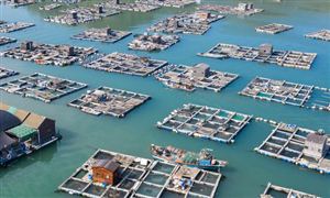 海洋養(yǎng)殖行業(yè)未來發(fā)展前景如何？2023年海洋養(yǎng)殖行業(yè)深度分析