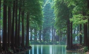 中國濕地開發(fā)行業(yè)發(fā)展前景及投資風險預測分析2023