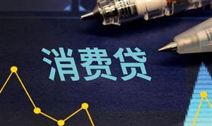 消費(fèi)貸款行業(yè)市場發(fā)展前景投資分析2023