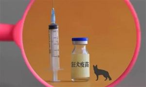 狂犬疫苗市場供給 狂犬疫苗行業(yè)發(fā)展現(xiàn)狀前景分析2023