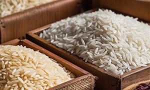印度考慮禁止大部分大米出口 2023/24年度印度大米產(chǎn)量預測