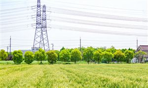 三部門:加強農(nóng)村電網(wǎng)薄弱地區(qū)電網(wǎng)建設(shè)改造 到2025年東部地區(qū)戶均配變?nèi)萘坎坏陀?.5千伏安
