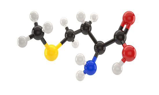 生物化工行業(yè)涉及多個學(xué)科領(lǐng)域 2023生物化工行業(yè)未來發(fā)展趨勢及前景預(yù)測