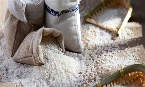 高端大米市場迎來新機遇 高端大米行業(yè)市場發(fā)展策略研究