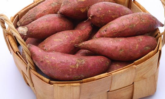 利好政策大力推動紅薯行業(yè)高質(zhì)量發(fā)展 中國紅薯食品行業(yè)發(fā)展現(xiàn)狀分析2023