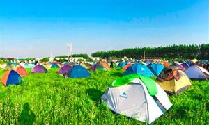 素質(zhì)教育理念深入人心 中國暑期夏令營行業(yè)發(fā)展前景分析