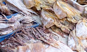 魷魚精細(xì)化加工前景可期 魷魚干行業(yè)市場發(fā)展現(xiàn)狀分析