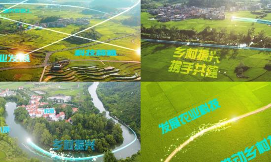 鄉(xiāng)村振興戰(zhàn)略發(fā)展現(xiàn)狀及市場(chǎng)投資分析