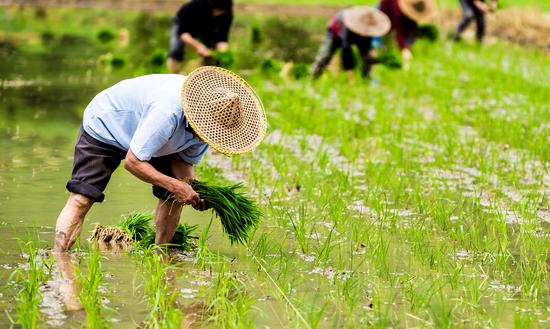 中國(guó)農(nóng)業(yè)碳中和技術(shù)行業(yè)現(xiàn)狀分析2023
