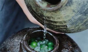 梅子酒行業(yè)現(xiàn)狀 未來梅子酒有望成為酒水市場下一個(gè)風(fēng)口