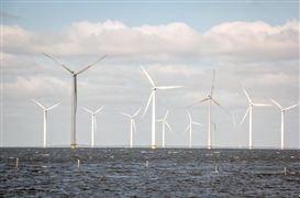 海上風(fēng)電項目建設(shè)總規(guī)模約18GW 2023風(fēng)電整機大型化進程推進趨勢