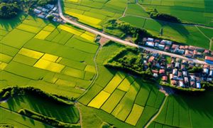 2023新型農(nóng)業(yè)行業(yè)現(xiàn)狀與市場發(fā)展前景趨勢分析