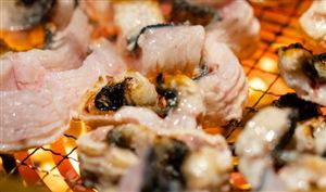 2023年鰻苗捕撈季共捕獲鰻苗49噸 2023年中國鰻魚行業(yè)發(fā)展現(xiàn)狀分析