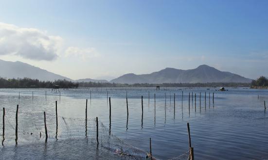 淡水養(yǎng)殖產(chǎn)業(yè)發(fā)展前景廣闊 養(yǎng)殖淡水魚行業(yè)現(xiàn)狀分析