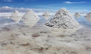 國內鋰資源開發(fā)有望提速 鋰價走勢行業(yè)風險分析