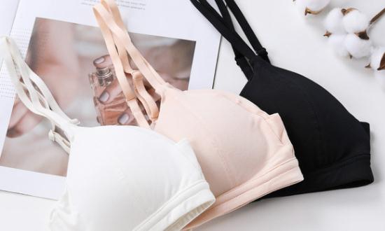 女性內(nèi)衣市場需求與發(fā)展趨勢分析報告2023