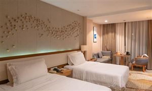 中國經(jīng)濟(jì)型酒店行業(yè)發(fā)展現(xiàn)狀 經(jīng)濟(jì)型酒店行業(yè)未來發(fā)展趨勢(shì)分析