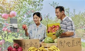 數字鄉(xiāng)村振興 以農村電商為代表的新業(yè)態(tài)新模式 農副產品直播電商基地建設政策