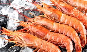 中國(guó)海鮮市場(chǎng)規(guī)模將突破7500億元人民幣 2023年中國(guó)海鮮市場(chǎng)發(fā)展現(xiàn)狀分析