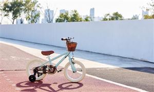 中國兒童單車行業(yè)深度調(diào)研與發(fā)展趨勢預(yù)測研究