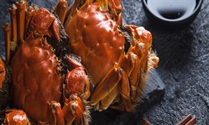 新疆大閘蟹淘寶開(kāi)賣(mài) 大閘蟹行業(yè)市場(chǎng)機(jī)遇分析2023