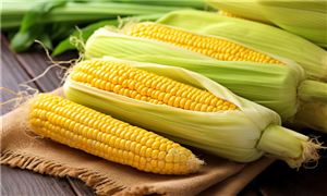 鮮食玉米行業(yè)市場(chǎng)分析調(diào)研 鮮食玉米行業(yè)市場(chǎng)發(fā)展分析