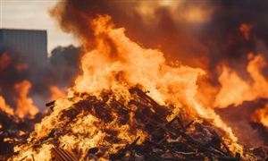 中國垃圾焚燒行業(yè)市場調查研究