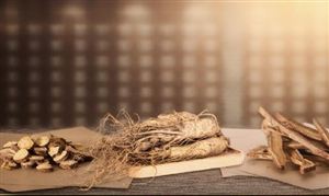 人參市場供需狀況調(diào)研 人參行業(yè)發(fā)展前景與未來趨勢分析