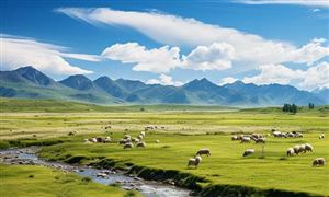 共享農(nóng)場產(chǎn)業(yè)市場需求 共享農(nóng)場產(chǎn)業(yè)發(fā)展模式分析