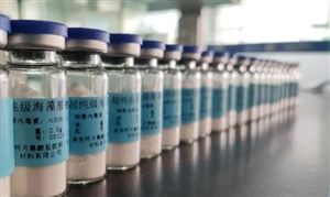 海洋生物醫(yī)藥行業(yè)投資報(bào)告：快速提升臨港新片區(qū)生物醫(yī)藥產(chǎn)值規(guī)模