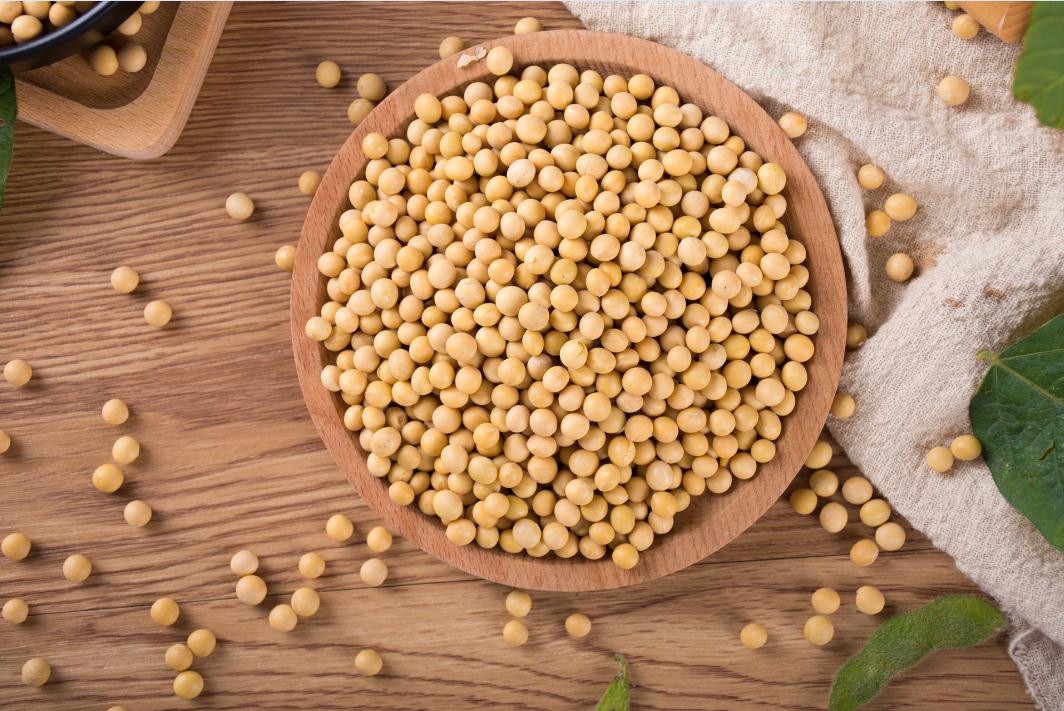 美國大豆種植面積下降 2023國內(nèi)外大豆期貨供需報告