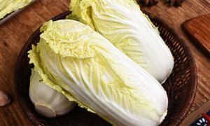 大白菜批發(fā)價(jià)同比降近50% 大白菜行業(yè)市場現(xiàn)狀分析