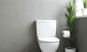 2024智能坐便器行業(yè)市場未來發(fā)展規(guī)模預(yù)測