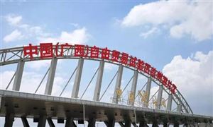 2023廣西自貿(mào)區(qū)市場發(fā)展環(huán)境及前景研究