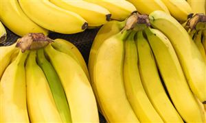 2023香蕉行業(yè)種植面積、產(chǎn)量及發(fā)展現(xiàn)狀分析