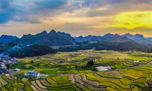 數(shù)字鄉(xiāng)村行業(yè)發(fā)展趨勢(shì)：未來(lái)安全性成為數(shù)字鄉(xiāng)村行業(yè)發(fā)展的關(guān)鍵所在