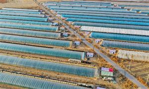 2023—2030年設(shè)施農(nóng)業(yè)建設(shè)規(guī)劃：引導(dǎo)設(shè)施種植適度向山區(qū)和戈壁、沙漠等非耕地轉(zhuǎn)移
