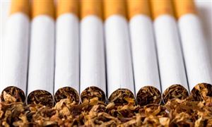 煙草行業(yè)市場調研及發(fā)展趨勢分析2024
