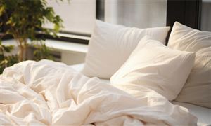 被褥行業(yè)發(fā)展分析：被子類商品消費額激增 消費者擁抱“溫暖經(jīng)濟”