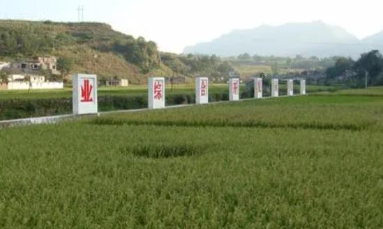 綜合農(nóng)業(yè)行業(yè)發(fā)展分析2024：力爭(zhēng)到2027年農(nóng)民收入達(dá)到2.79萬元左右