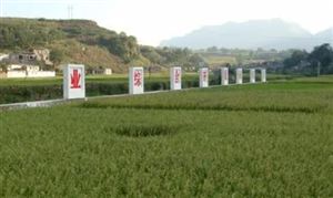 綜合農(nóng)業(yè)行業(yè)發(fā)展分析2024：力爭到2027年農(nóng)民收入達(dá)到2.79萬元左右