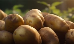 馬鈴薯行業(yè)種植面積、產(chǎn)量及發(fā)展現(xiàn)狀分析