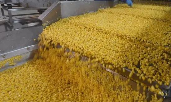2024玉米深加工行業(yè)發(fā)展投資：玉米生物發(fā)酵企業(yè)和產品發(fā)展態(tài)勢良好