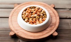 寵物食品行業(yè)未來(lái)發(fā)展前景：后續(xù)寵物食品出口有望繼續(xù)修復(fù)