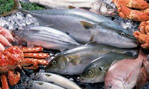 中國(guó)海鮮行業(yè)市場(chǎng)分析及供需情況：海鮮消費(fèi)增長(zhǎng)率在10%-30%之間
