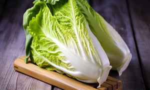 大白菜行業(yè)市場現(xiàn)狀機(jī)遇深度調(diào)研2023