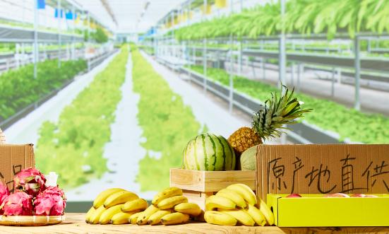 2023農產品電商行業(yè)發(fā)展現狀深度分析