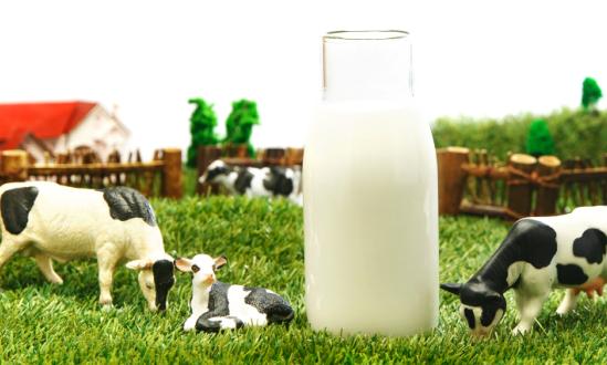 乳業(yè)整個(gè)行業(yè)的營收也將保持增長  但利潤會呈現(xiàn)增長放緩的趨勢