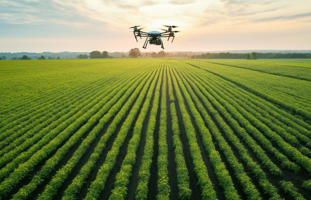 2030設施蔬菜產(chǎn)量占比提高到40% 2023全國現(xiàn)代設施農(nóng)業(yè)建設規(guī)劃