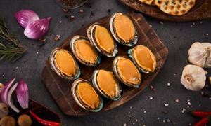 鮑魚降價鮑了一只價格 鮑魚行業(yè)市場發(fā)展現(xiàn)狀分析